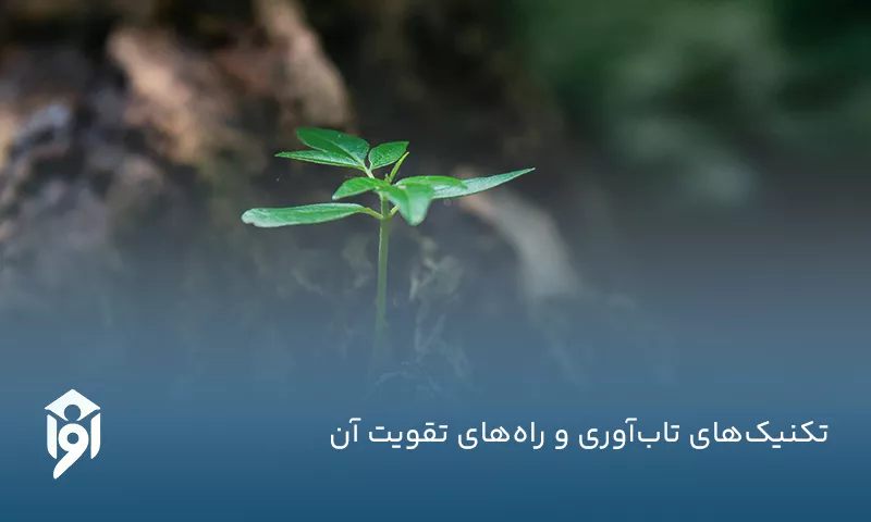تکنیک‌های تاب‌آوری و راه‌های تقویت آن